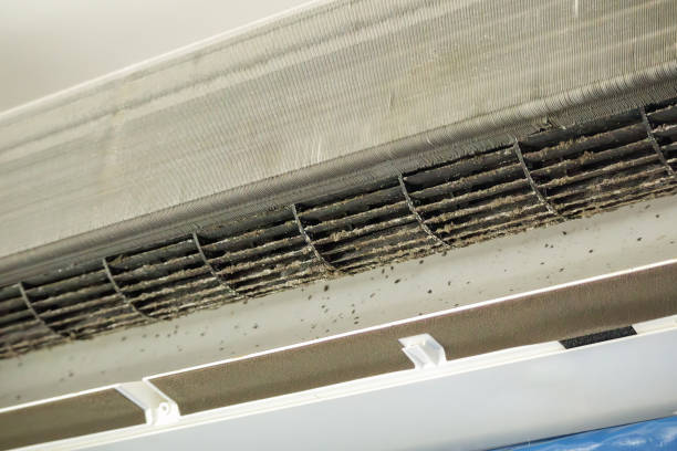 Best Affordable HVAC Duct Cleaning  in Aurora, MO
